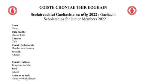 Gaeltacht Scholarships 2022